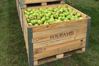 Fourayes fruit