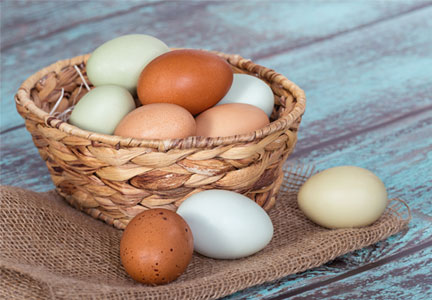 Happy Hen Egg Farms